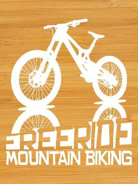 Freedom and adrenaline – MTB Freeride