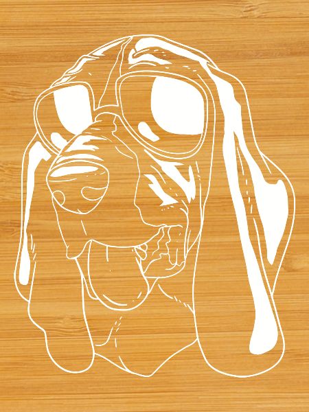 Basset Hound