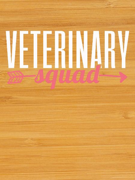 Veterinarian Veterinary Assistant