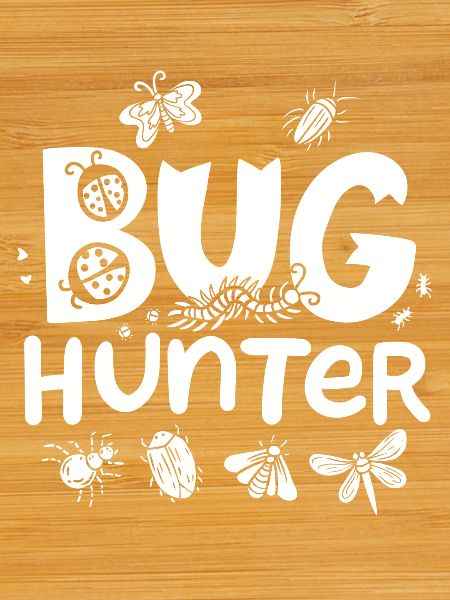 Entomologiste des insectes