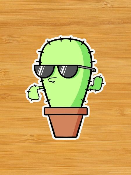 Cactus cool