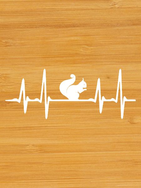 Squirrel heartbeat