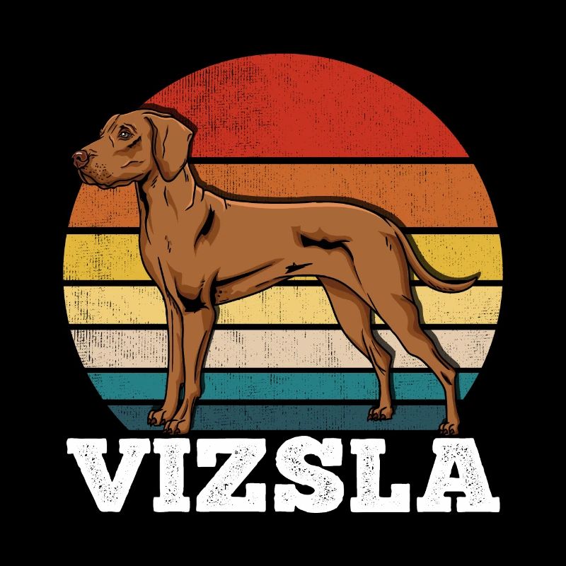 Vizsla Rétro