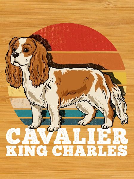 Cavalier King Charles