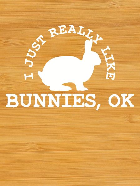 Bunny Rabbit Bunny Lover