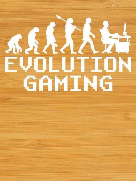 Évolution du jeu PC