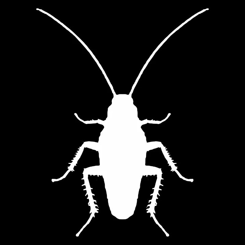 Cockroach insect entomologist