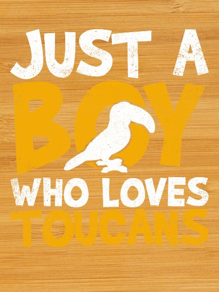 Toucans Toucan Lovers