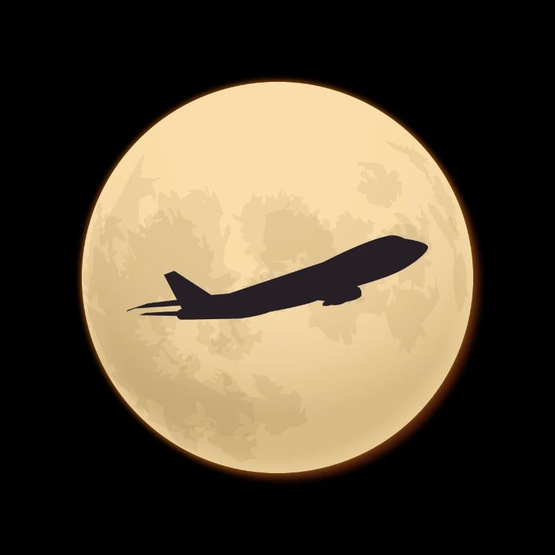 Silhouette jumbo contre la lune