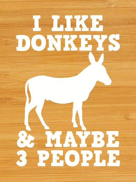 Donkey Farmer Introverted Donkey Lover