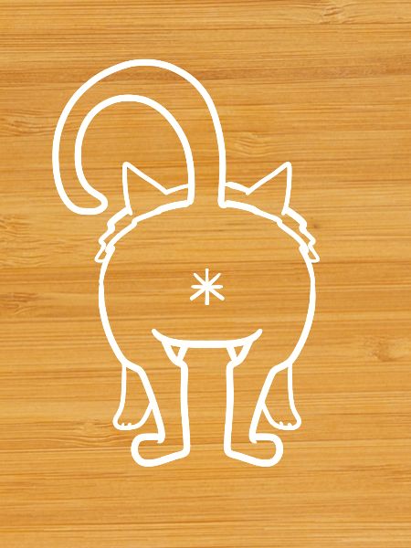 Chat par derrière