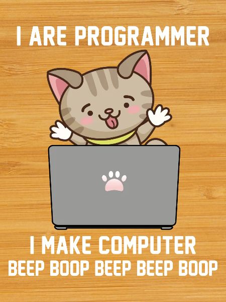 Programmeur