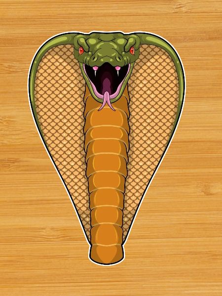 Cobra Snake