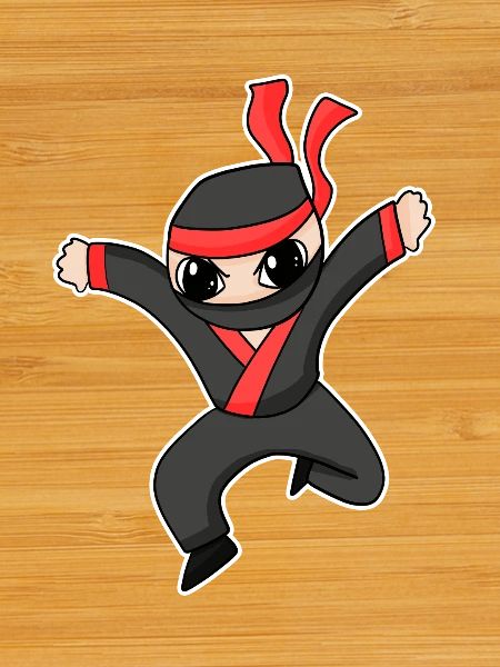 Ninja
