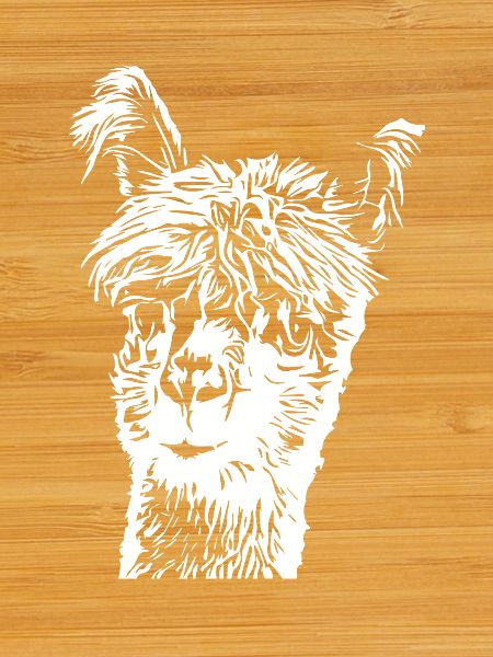 Lama Alpaga