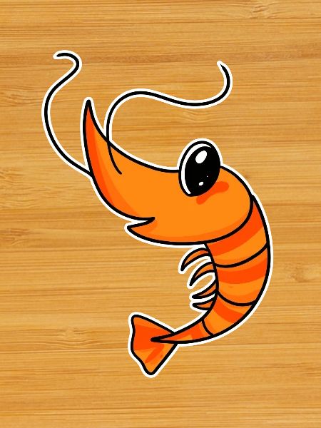 Shrimp shrimp