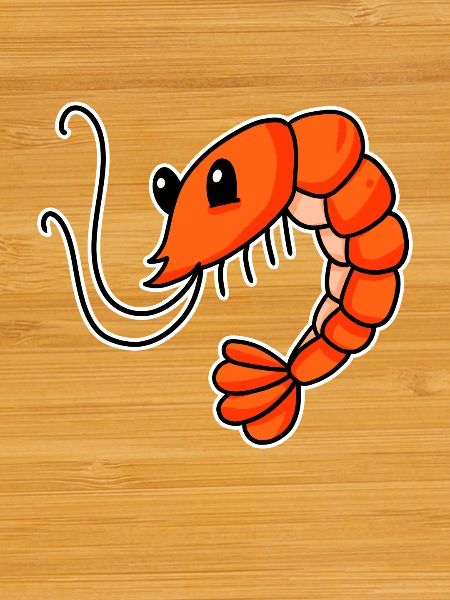 Shrimp