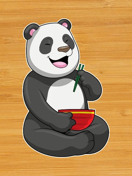 Panda Chef Ramen Cooking