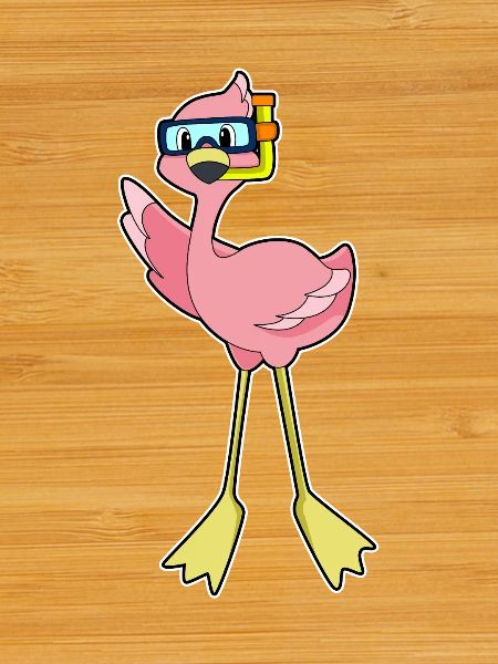 Flamingo Diver Snorkel Diving