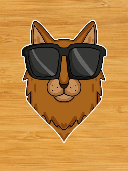 Somali cat with sunglasses