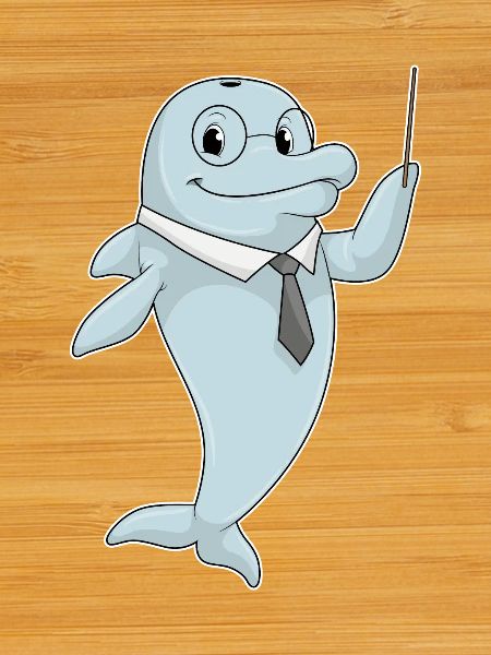Dolphin Teacher Pointing Stick School