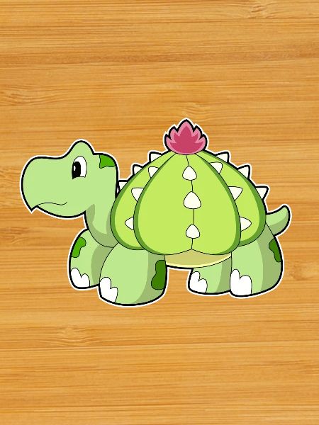 Turtle Cactus