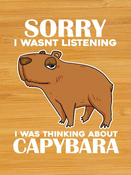 Capybara Capybara Cadeau