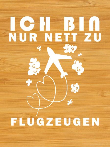 Modellflug Pilot Modellbau Flugzeug Modellbauer