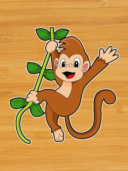 Monkey Liana Jungle