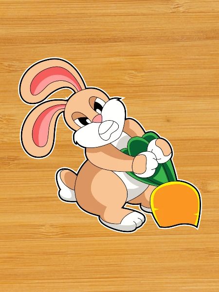 Rabbit Carrot