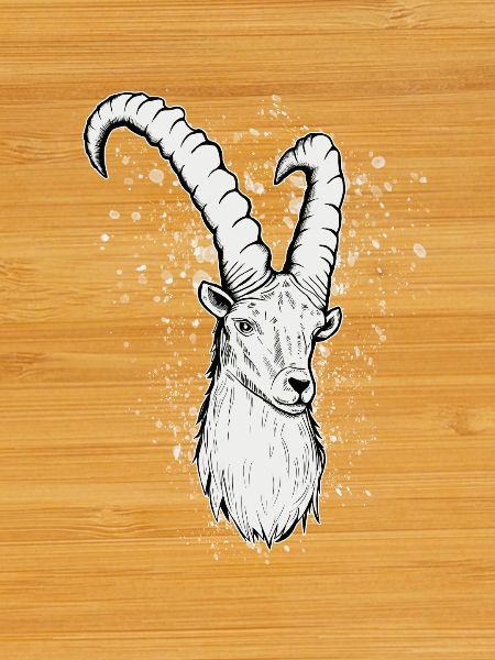 Steinbock Sternzeichen Geschenk