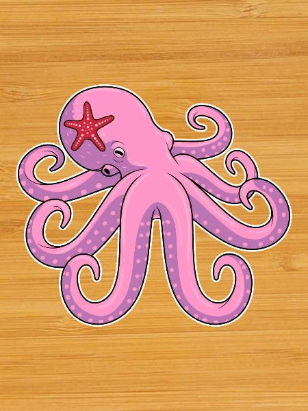 Octopus starfish