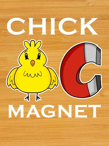 Aimant de poussin
