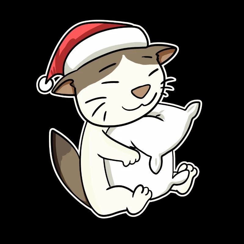 RagaMuffin Katze Weihnachten Schlafen Müde