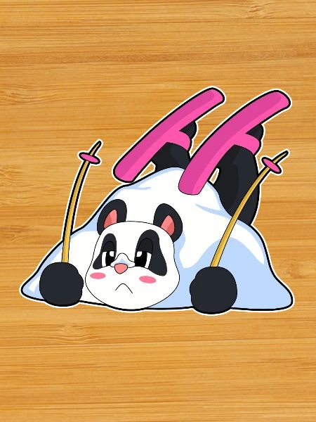 Panda Skier Ski