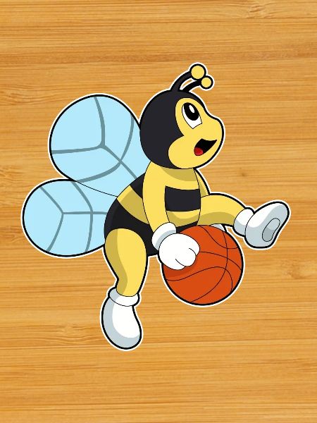 Bee Basketball Player Basketball