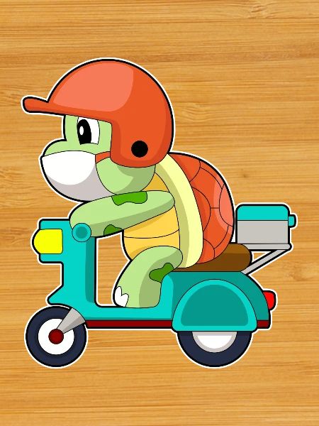 Turtle Scooter