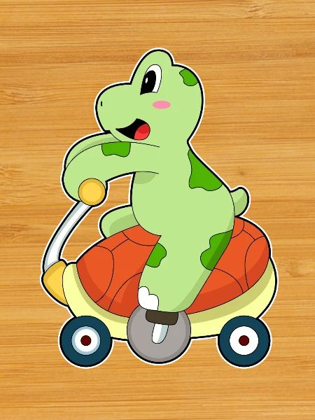 Turtle Bicycle