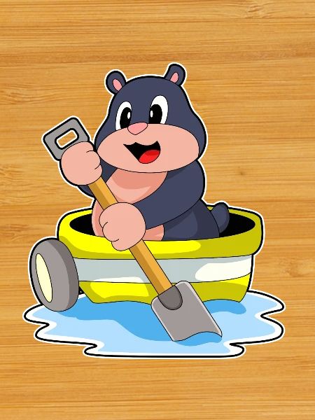 Petite Bateau Mole