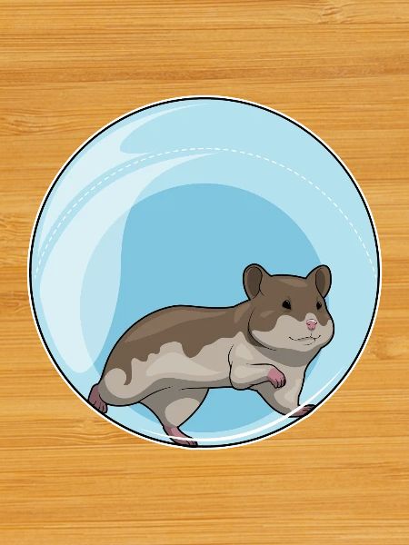 Hamster Hamster Ball