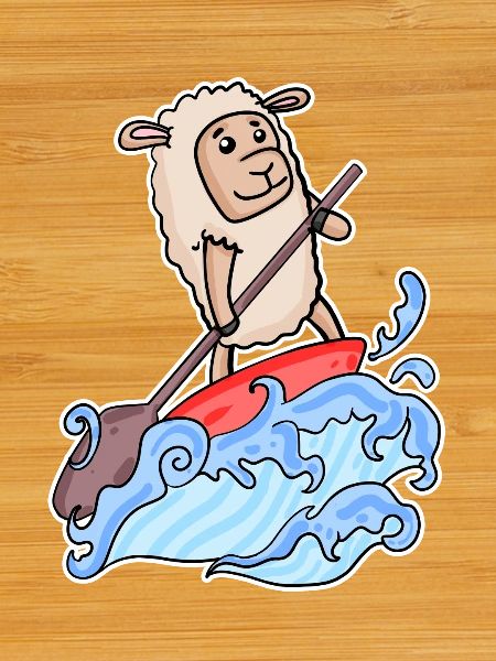 Stand Up Paddling Sheep