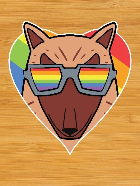 Rainbow - dog with glasses