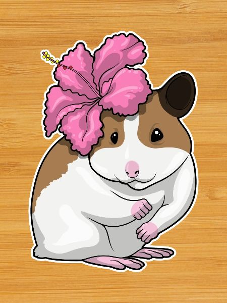 Hamster Hibiskus 