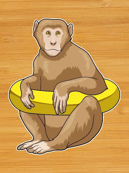 Monkey Swimming Swim Ring Summer