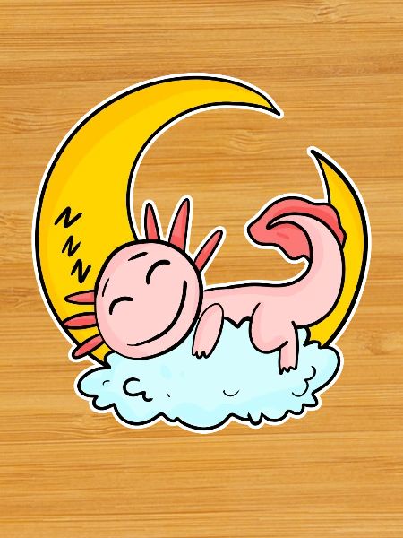 Axolotl endormi
