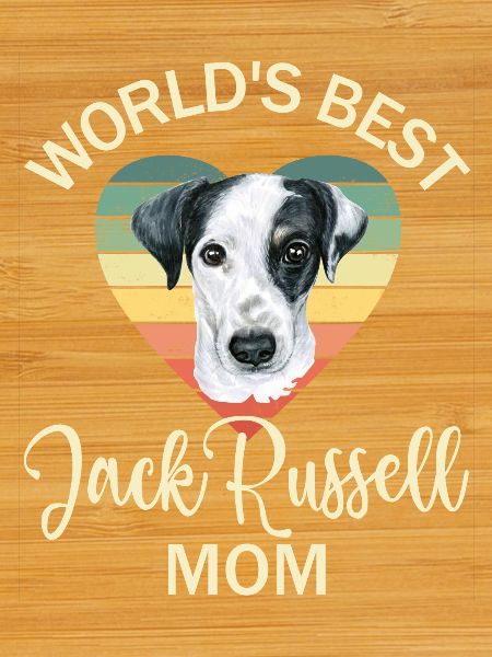 Dog Jack Russell Terrier