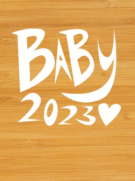 Bébé 2023 - Naissance enceinte