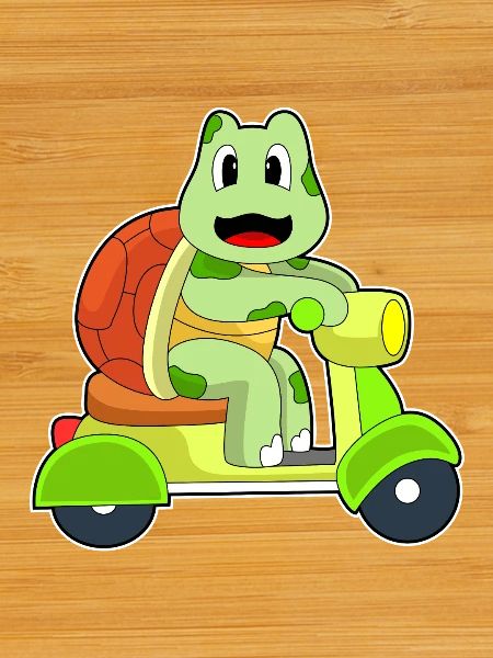 Turtle Scooter