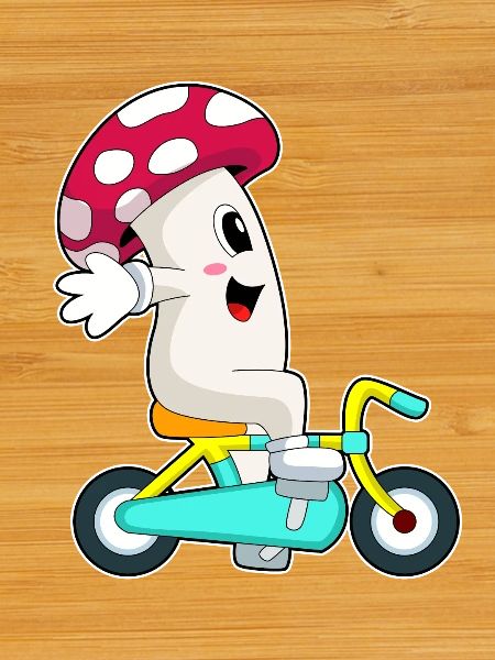Pilz Bicycle
