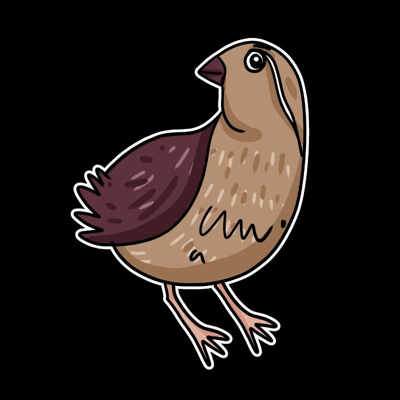 Caille Oiseau Motif Oiseaux